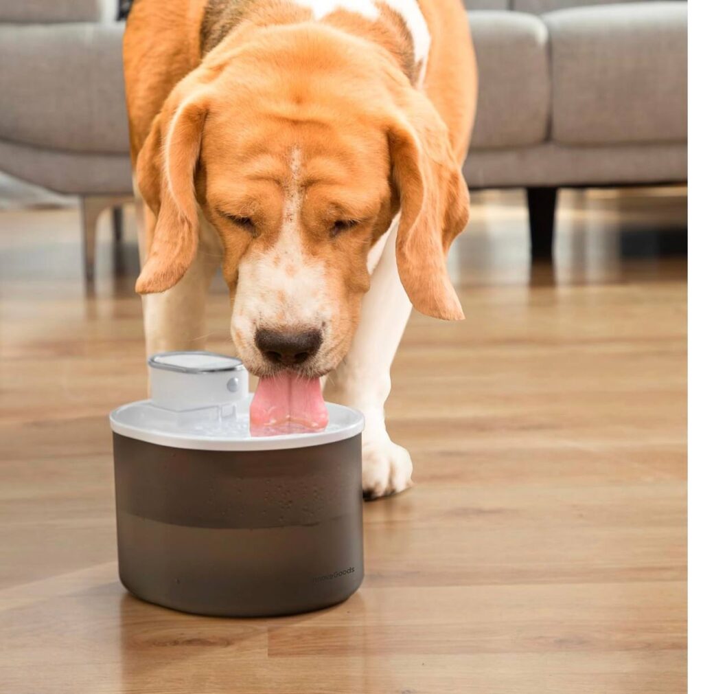 BEBEDERO PARA PERRO Y GATO - imagen